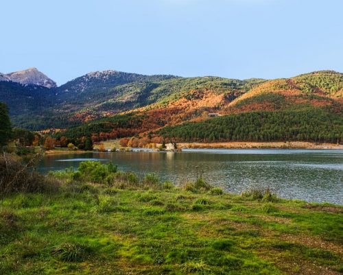 Landscape
